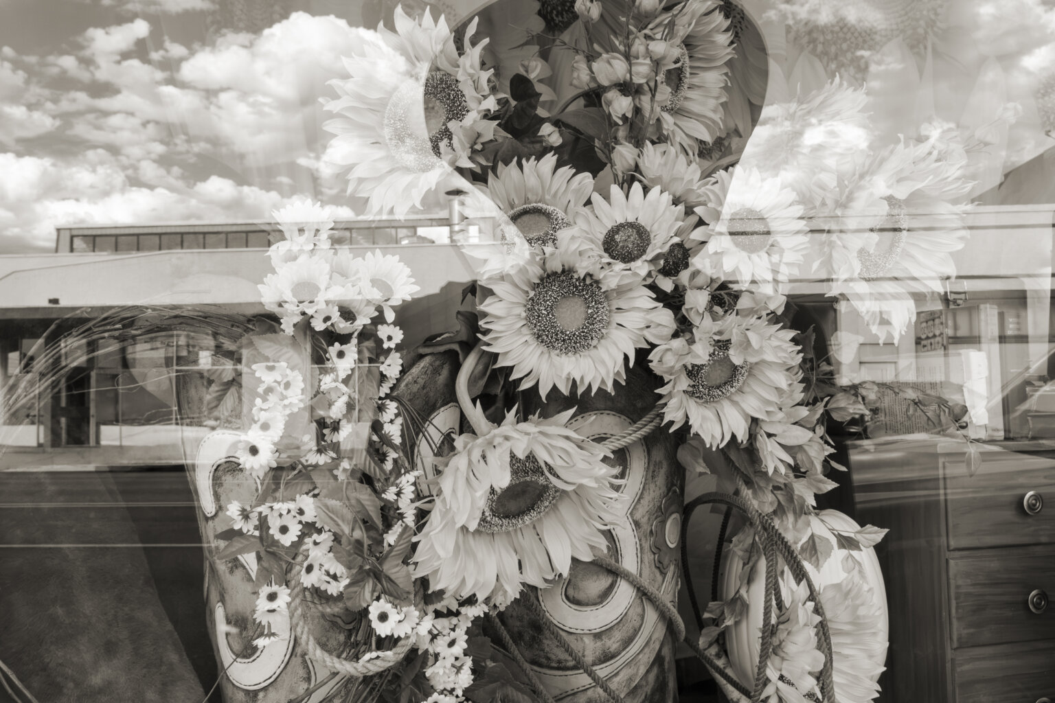 Sunflower Girl, 2026