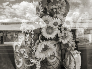Sunflower Girl, 2026
