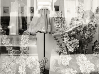 Wedding Window, 2025